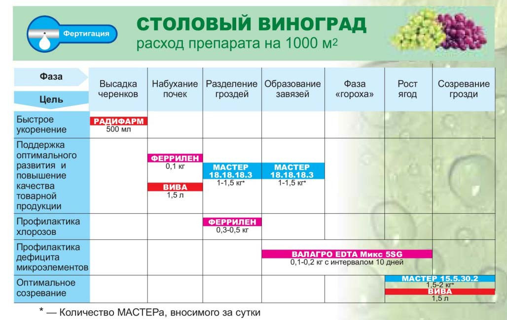 Феррілен 4.8 Орто-Орто (Ferrilene 4.8 Orto-Orto) 5 кг, мінеральне добриво, хелат заліза, Valagro (Валагро), Італія