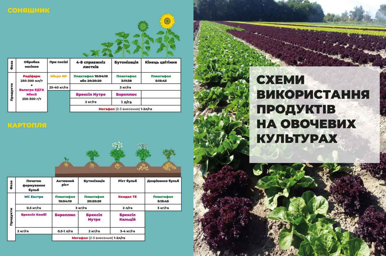 Брексіл Комбі (Brexil Combi) 1 кг, мікродобриво, мікроелементи, Valagro (Валагро), Італія