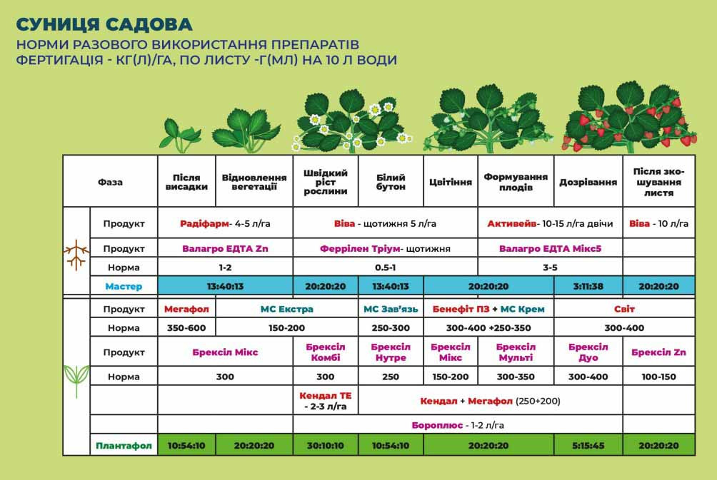 Брексіл Цинк (Brexil Zn) 5 кг, мікродобриво, мікроелементи, Valagro (Валагро), Італія