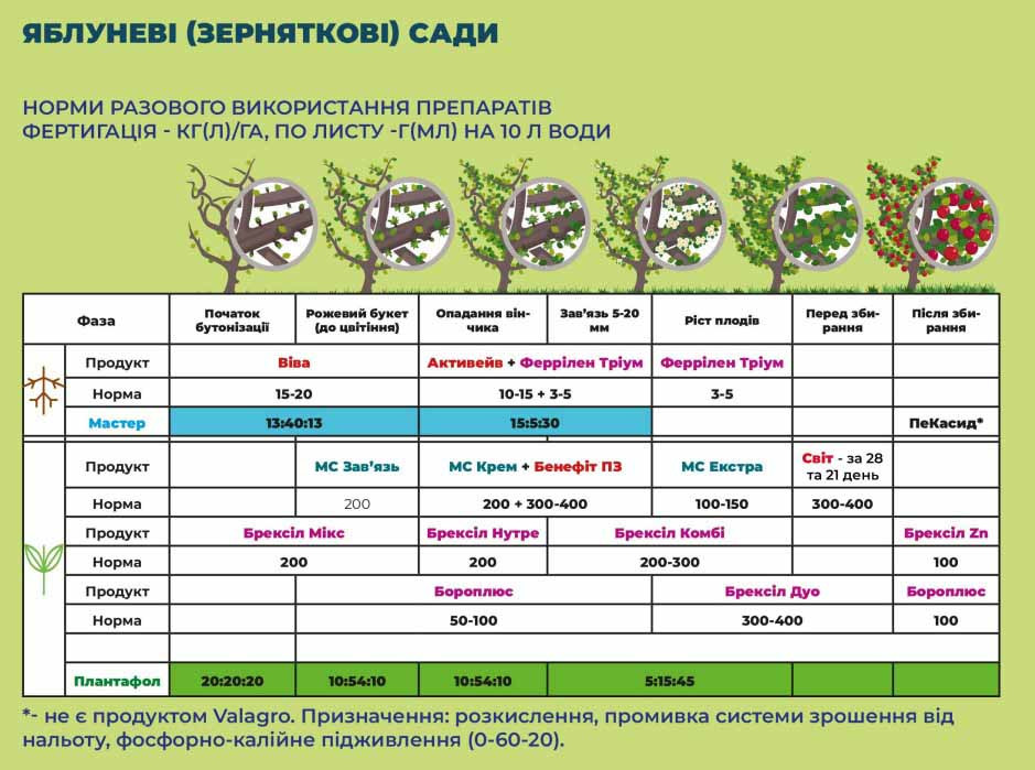 Брексіл Комбі (Brexil Combi) 1 кг, мікродобриво, мікроелементи, Valagro (Валагро), Італія