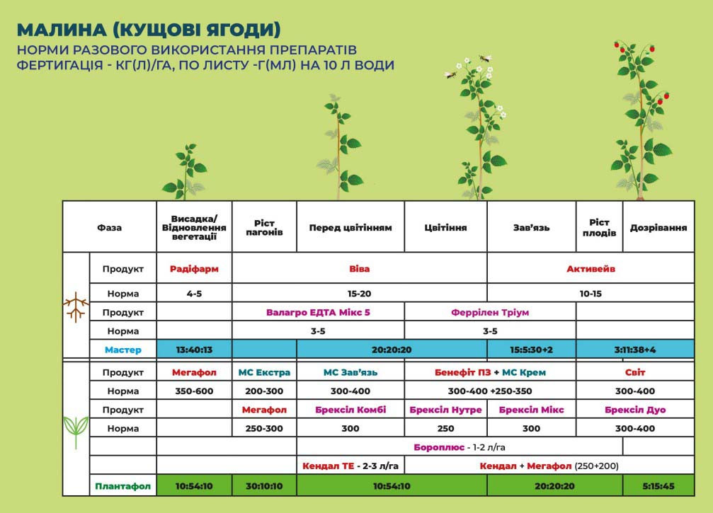 Брексіл Комбі (Brexil Combi) 1 кг, мікродобриво, мікроелементи, Valagro (Валагро), Італія